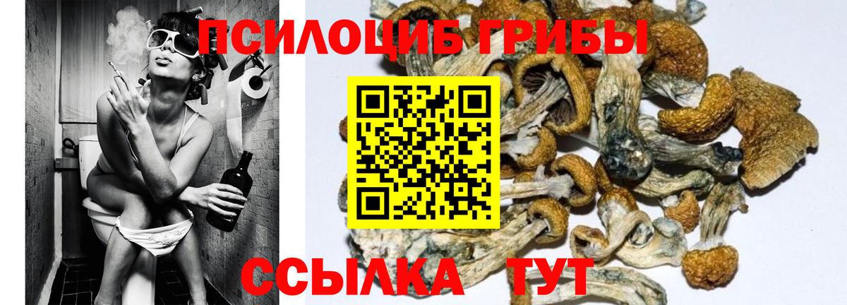 Псилоцибиновые грибы мухоморы Ревда