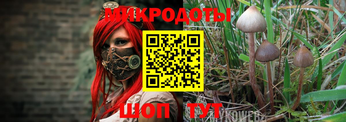 Псилоцибиновые грибы ЛСД  Вход с VPN  Ревда 